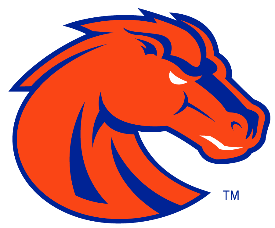 Boise State Broncos 2002-2012 Secondary Logo v3 iron on transfers for T-shirts